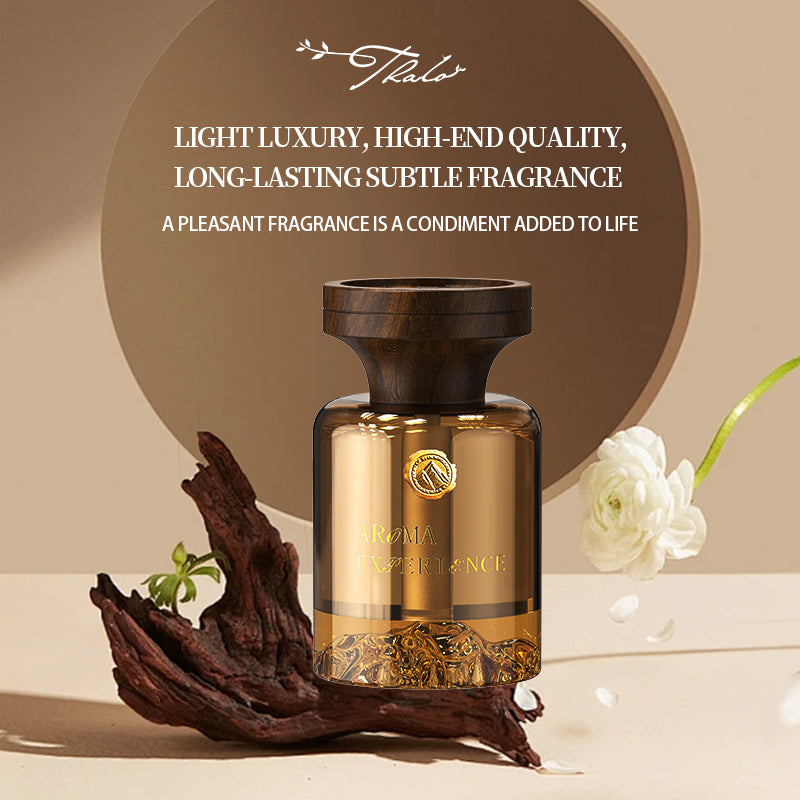 Chinese Style High-end family vehicle dual-purpose aromatherapy device