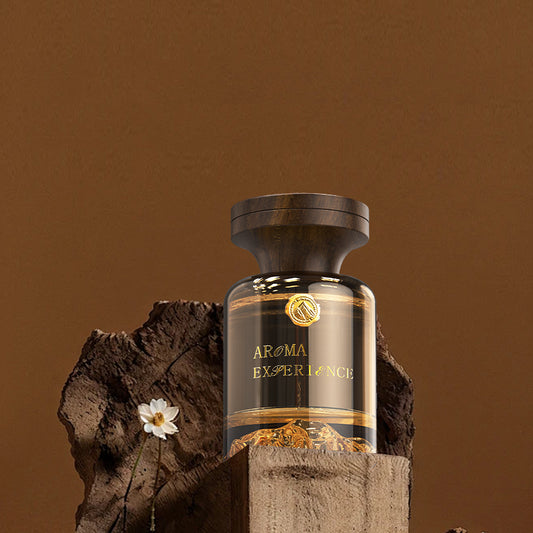 Chinese Style High-end family vehicle dual-purpose aromatherapy device