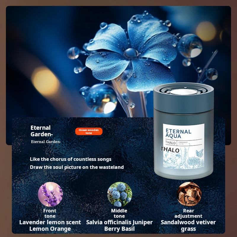 Wholesale Car Solid Aromatherapy Car Aromatherapy Decoration Long-lasting Odor Removal Car Air Freshener