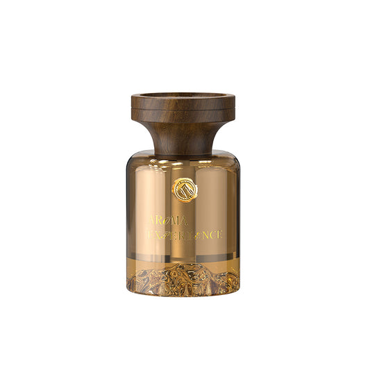 Chinese Style High-end family vehicle dual-purpose aromatherapy device