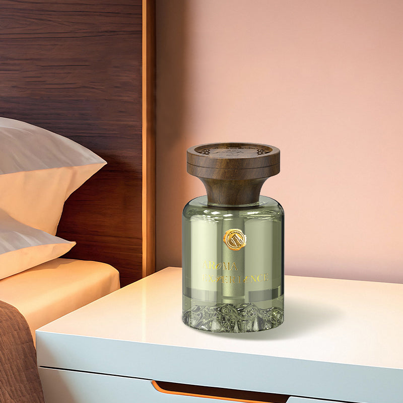 Chinese Style High-end family vehicle dual-purpose aromatherapy device