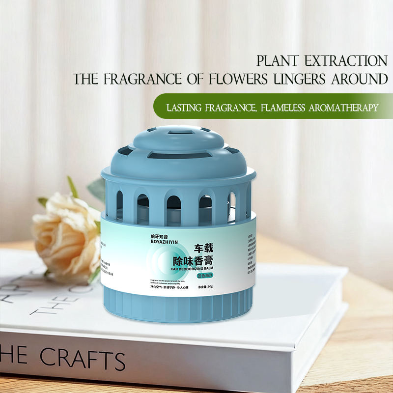 Modern Style New Car Aromatherapy Deodorizing Smoke Removing Agent with Long-lasting Fragrance for Car air Fresheners